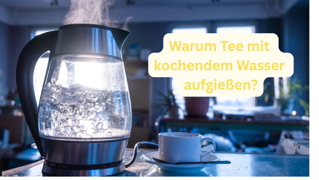 Warum Tee mit kochendem Wasser aufgießen?